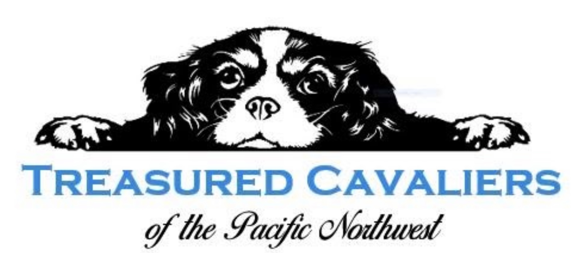 Treasured Cavaliers of the Pacific Northwest